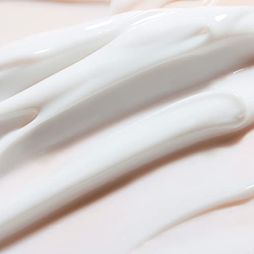 Hand Cream Gift Set for Dry Hands - Moisturizing Hand Cream Enriched with Shea Butter and Vitamin E, 2.0 oz/60ml Travel Size Lotion, Birthday Gif