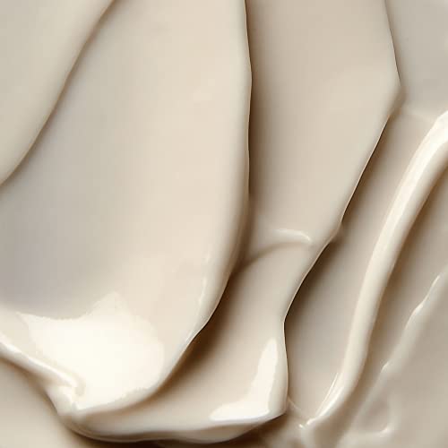 ELEMIS Pro-Radiance Illuminating Flash Balm, Illuminating Day Cream to Brighten, Smooth and Moisturise, Anti-Ageing Face Cream Infused with Vitam