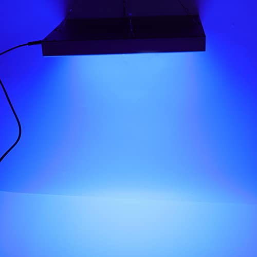 Face Tanning Lamp, Large Area Lighting Hanging Use 100-240V 225pcs LEDs 460nm Blue Tanning Lamp Foldable for Gifting(#2)