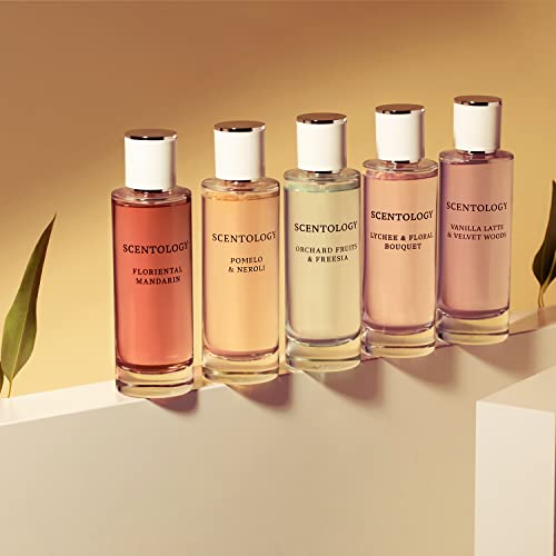 Scentology Floriental Mandarin Perfume for Women, Eau De Parfum 100ml