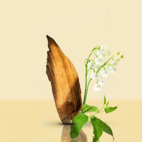 Calvin Klein Contradiction for Women Eau de Parfum, 100 ml