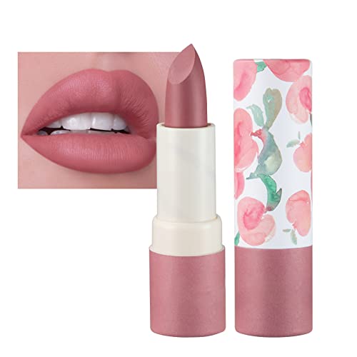 Matte Lipsticks for Women Long Lasting,Waterproof Moisturizer Pink Lipstick Non Stick Cup Velvet Lipstick,Not Fade Matte Lip Gloss,Tinted Lip Bal