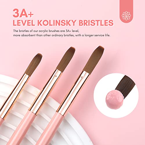 Saviland 3 PCS Kolinsky Acrylic Nail Brush - Size 8/10/14 Nail Brush for Acrylic Powder Durable Acrylic Nail Brush for Beginners Acrylic Brushes