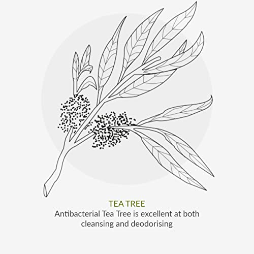 Green People Oy! Foaming Clear Skin Face Wash 100ml | Natural & Organic Teenage Facial Wash | Willow Bark & Tea Tree | Skin Care for Pre-Teens &