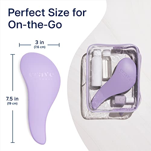 Crave Naturals Glide Thru Detangler Hair Brush, Tangle Teezer Hair Brush for Wet, Dry, Curly, and Straight Hair - Tangle Teezer Wet Detangler Bru