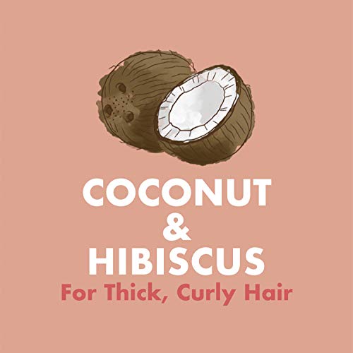 Shea Moisture Coconut & Hibiscus Kids 2 in 1 Shampoo and Conditioner + Detangler