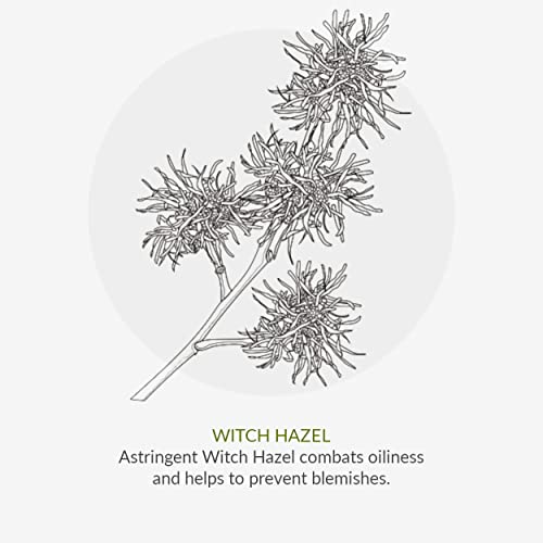 Green People Oy! Foaming Clear Skin Face Wash 100ml | Natural & Organic Teenage Facial Wash | Willow Bark & Tea Tree | Skin Care for Pre-Teens &