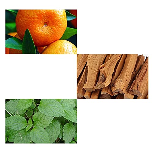 Mens Aftershave Perfume,Eau De Toilette For Man 100ml Perfume Eau De Toilette Fragrance Gift Set Lightweight Durable Perfume Cologne Perfume