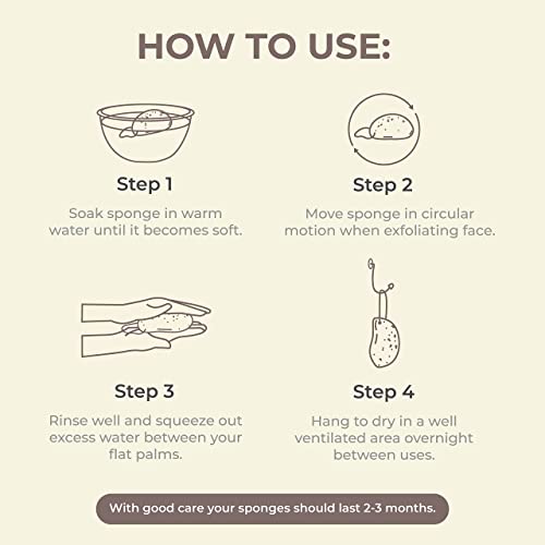 Eco Health Natural Konjac Sponges, for Deep Cleaning and Exfoliating, These Facial Sponges are 100% Natural Face Sponges - Pack of 5 Giant Konjac