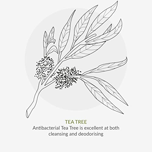 Green People Oy! Foaming Clear Skin Face Wash 100ml | Natural & Organic Teenage Facial Wash | Willow Bark & Tea Tree | Skin Care for Pre-Teens &