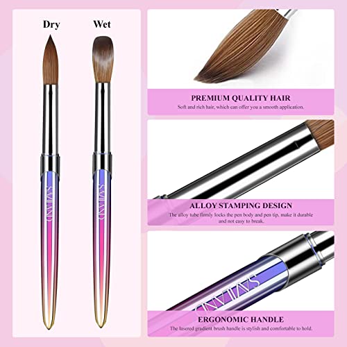Saviland 4PCS Acrylic Nail Brush - Acrylic Brush for Acrylic Nails, Multicolorful Gradient & Metal Handle Nail Brush for Acrylic Powder, Nail Art