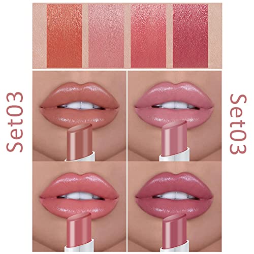 Plumping Lip Gloss Set,Lipstick Sets 4 Pcs High Pigmented Nude Cigarette Lipgloss, Long Lasting Waterproof Shimmer Liquid Lipsticks,Makeup Sets F