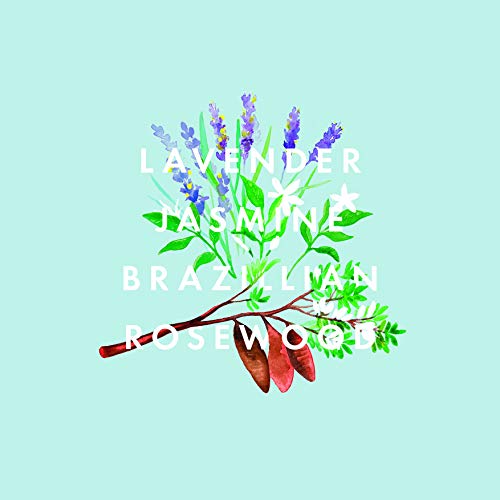 NEOM – Calming Hand Balm, 30ml | Lavender, Jasmine & Rosewood | Moisturising & Nourishing | Shea Butter |100% Natural Fragrance