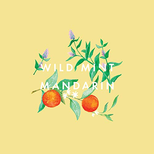 NEOM – Uplifting Hand Balm, 30ml | Wild Mint & Mandarin | Moisturising & Nourishing | Shea Butter |100% Natural Fragrance