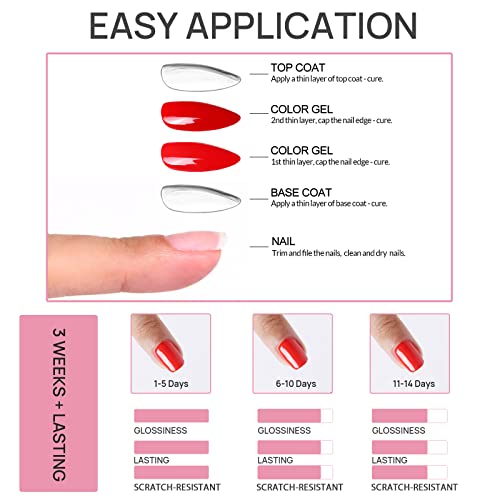 Gel Polish Soak Off CLAVUZ Top Base Coat UV LED Nail Polish+Nail Art Brush Nail Art 10ml