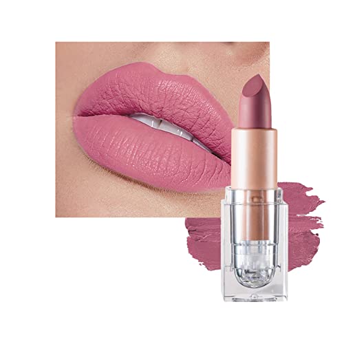 Matte Lipsticks for Women Long Lasting,Waterproof Moisturizer Pink Lipstick Non Stick Cup Velvet Lipstick,Not Fade Matte Lip Gloss,Tinted Lip Bal