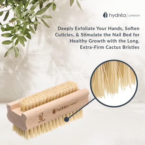 Hydrea London Nail Brush - Double-Sided Pedicure & Manicure Brush with Natural Cactus Bristles - 100% Vegan Hand Scrub, Fingernail Cleaner, & Tou