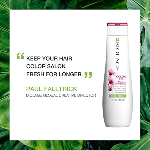 Biolage | Colorlast | Coloured Hair Shampoo | Colour Protect Shampoo | for Coloured Hair 250 ml