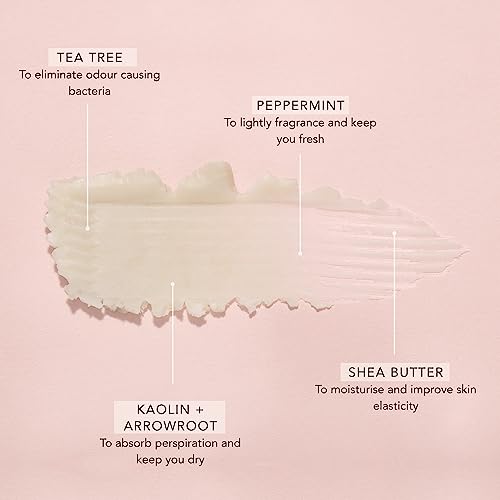 Botantical Natural Cream Deodorant | Aluminum Free Anti-Perspirant Alternative with Arrowroot and Kaolin Clay | Kaolin, Peppermint & Tea Tree | W