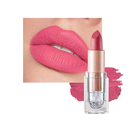 Matte Lipsticks for Women Long Lasting,Waterproof Moisturizer Pink Lipstick Non Stick Cup Velvet Lipstick,Not Fade Matte Lip Gloss,Tinted Lip Bal