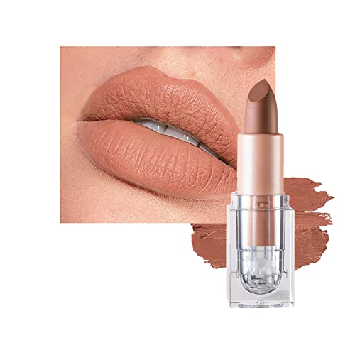 Matte Lipsticks for Women Long Lasting,Waterproof Moisturizer Pink Lipstick Non Stick Cup Velvet Lipstick,Not Fade Matte Lip Gloss,Tinted Lip Bal