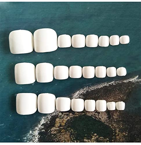 BSLVWG Pure Color False Toe Nails Short Glitter Metal Fake Toenail Full Cover Artificial Foot Nail Tips for Women and Girls(24Pcs) (01)