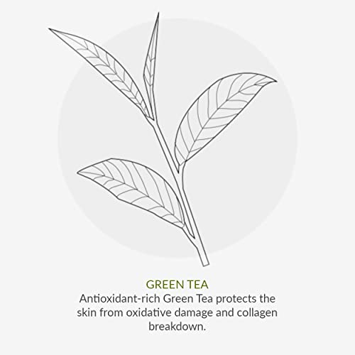 Green People Oy! Foaming Clear Skin Face Wash 100ml | Natural & Organic Teenage Facial Wash | Willow Bark & Tea Tree | Skin Care for Pre-Teens &