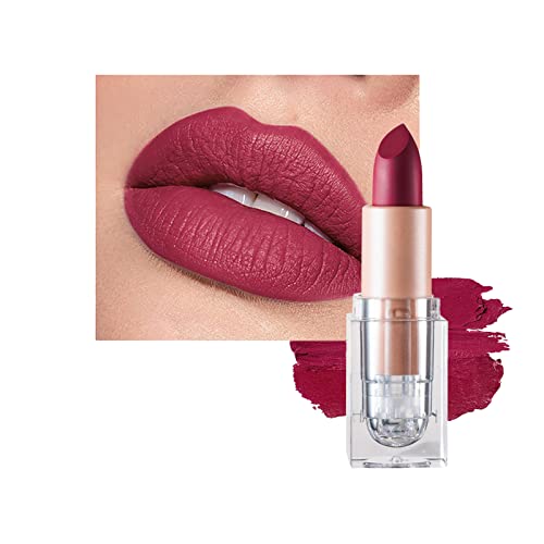 Matte Lipsticks for Women Long Lasting,Waterproof Moisturizer Pink Lipstick Non Stick Cup Velvet Lipstick,Not Fade Matte Lip Gloss,Tinted Lip Bal