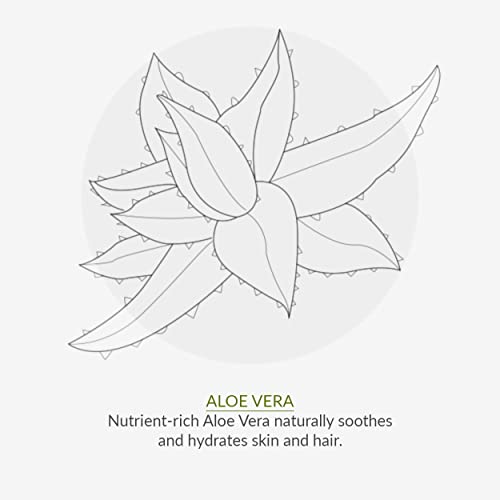 Green People Scent Free Shampoo 200ml| Natural & Organic Sensitive Shampoo | Ultra-Gentle Shampoo for All Hair Types & Sensitive Scalp | SLS Free