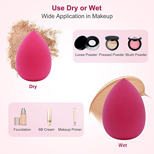 Beauty Blenders DUAIU 6PCS Makeup Sponge for Foundation, Non-Latex Foundation Sponge for Liquid, Creams, and Powders