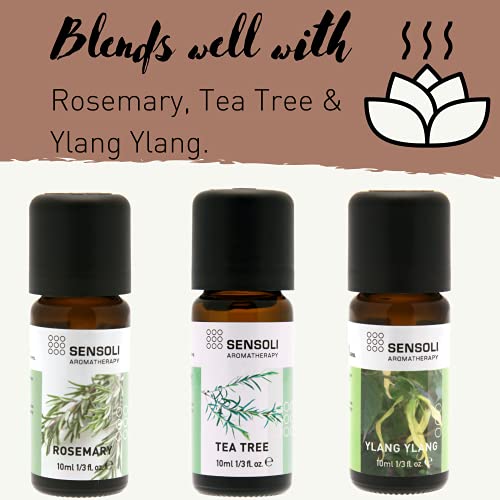 SENSOLI Sweet Almond Oil 100ml - Natural Unscented Moisturising Oil for Hair and Skin Care - in Glass Bottle