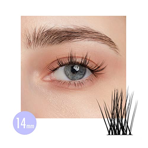 BEYELIAN Cluster Lashes, D+ Curl Individual Lashes, 168 Pcs Cluster Eyelash Extensions 0.07mm 10-16mm Mixed DIY Lash Clusters Reusable Super Thin