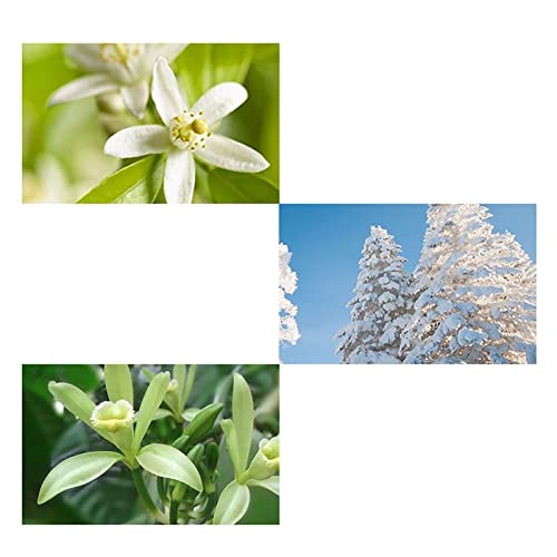 Mens Aftershave Perfume,Eau De Toilette For Man 100ml Perfume Eau De Toilette Fragrance Gift Set Lightweight Durable Perfume Cologne Perfume