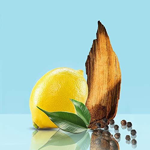 Contradiction by Ca|vin K|ein, for Men Eau De Toilette EDT Mens Scent Gents Fragrance Aftershave Cologne Spray 100 ml