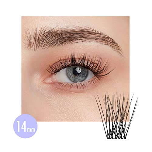BEYELIAN Cluster Lashes, D+ Curl Individual Lashes, 168 Pcs Cluster Eyelash Extensions 0.07mm 10-16mm Mixed DIY Lash Clusters Reusable Super Thin