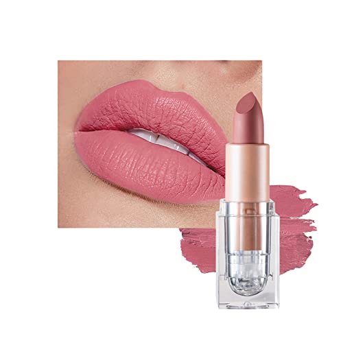 Matte Lipsticks for Women Long Lasting,Waterproof Moisturizer Pink Lipstick Non Stick Cup Velvet Lipstick,Not Fade Matte Lip Gloss,Tinted Lip Bal