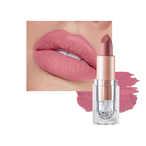 Matte Lipsticks for Women Long Lasting,Waterproof Moisturizer Pink Lipstick Non Stick Cup Velvet Lipstick,Not Fade Matte Lip Gloss,Tinted Lip Bal