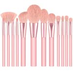 Makeup Brushes 12 Pcs Make Up Brush Set, Pink Makeup Brush Sets Face and Eye Brush Pack for Foundation Powder Concealers Blush Eyeshadow, Profess