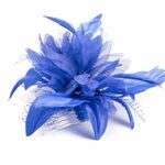 Feather Comb Fascinator for Women Wedding Ascot Races Christening Hair Piece (Royal Blue)