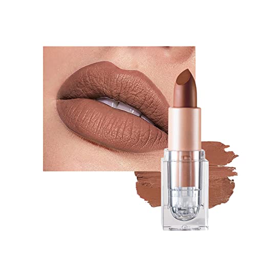 Matte Lipsticks for Women Long Lasting,Waterproof Moisturizer Pink Lipstick Non Stick Cup Velvet Lipstick,Not Fade Matte Lip Gloss,Tinted Lip Bal