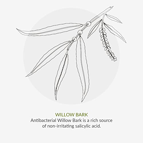 Green People Oy! Foaming Clear Skin Face Wash 100ml | Natural & Organic Teenage Facial Wash | Willow Bark & Tea Tree | Skin Care for Pre-Teens &