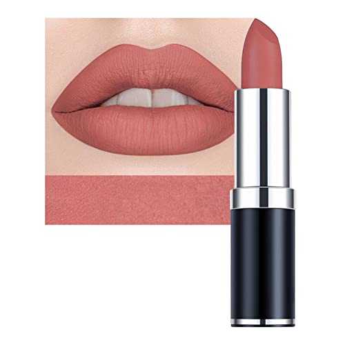 Matte Lipsticks for Women Long Lasting,Waterproof Moisturizer Pink Lipstick Non Stick Cup Velvet Lipstick,Not Fade Matte Lip Gloss,Tinted Lip Bal