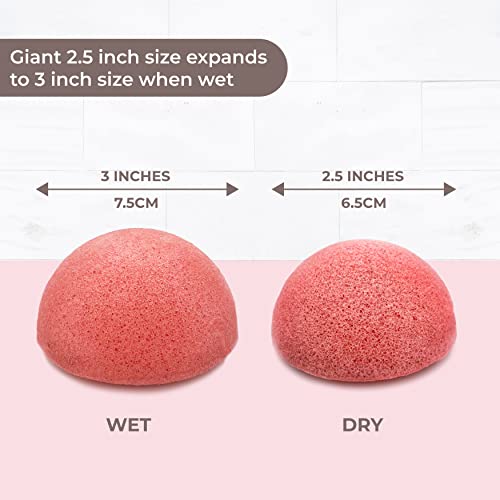Eco Health Natural Konjac Sponges, for Deep Cleaning and Exfoliating, These Facial Sponges are 100% Natural Face Sponges - Pack of 5 Giant Konjac