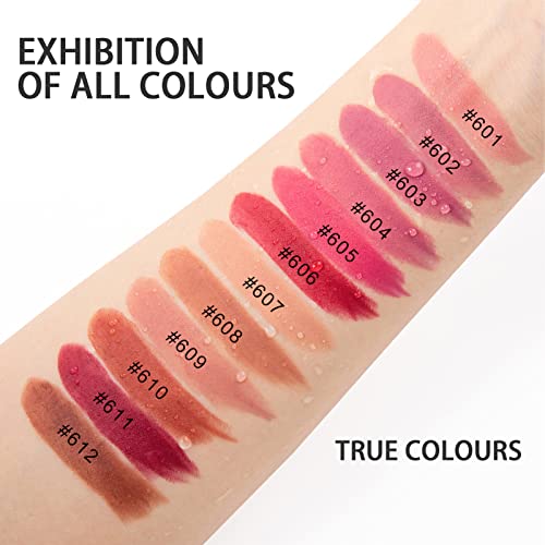 Matte Lipsticks for Women Long Lasting,Waterproof Moisturizer Pink Lipstick Non Stick Cup Velvet Lipstick,Not Fade Matte Lip Gloss,Tinted Lip Bal
