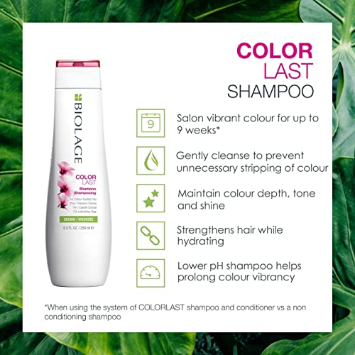 Biolage | Colorlast | Coloured Hair Shampoo | Colour Protect Shampoo | for Coloured Hair 250 ml
