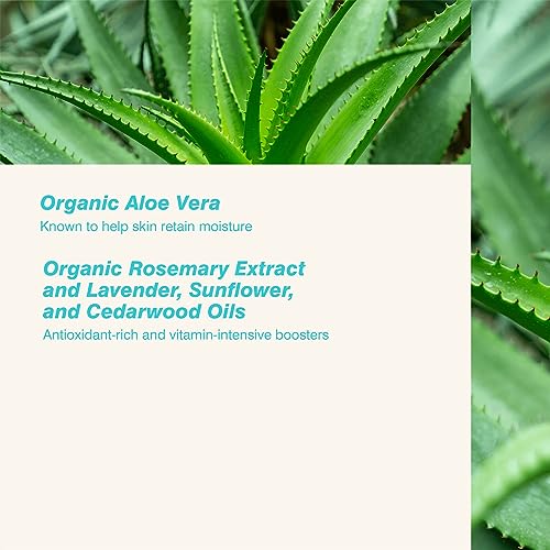 Coola Radical Recovery After Sun Lotion, Soothing and Hydrating Formula, 70 Percent + Organic and Cruelty Free, 180 ml