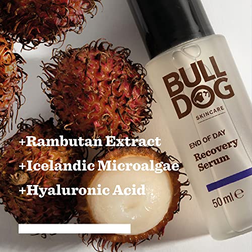 Bulldog Skincare - End Of Day Recovery Serum for Men | Reducing Fine Lines and Wrinkle Gel | 50 ml