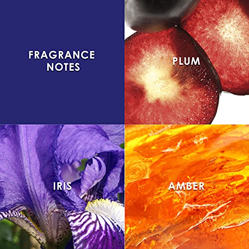 Britney Spears Midnight Fantasy Fine Fragrance Mist, Oriental, 236 ml