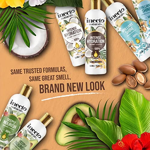 Inecto Natural Argan Shine Conditioner 500ml, Rich & Nourishing Pure Argan Oil for Beautiful Healthy Shine, for Dull Damaged Hair