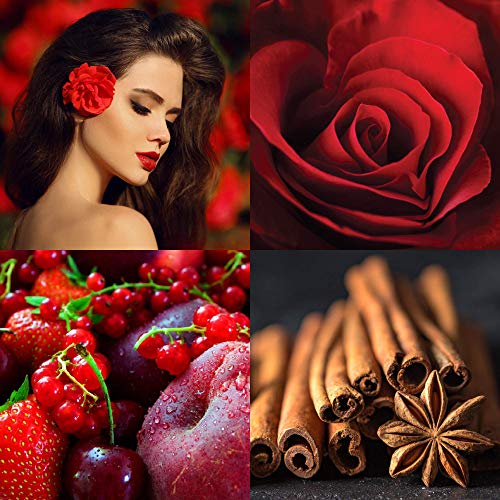 MILTON-LLOYD ESSENTIALS No 2 Perfume for Women. 50ml Eau de Parfum. Luxury Fragrance - Ladies Perfume, Long Lasting Womens Perfumes by Milton-Llo